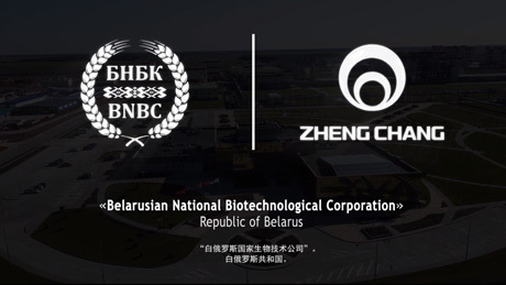 视频标题
